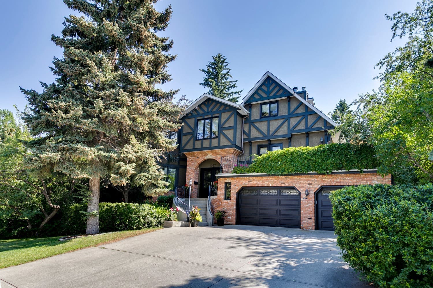 Mature tree-lined street with heritage homes in Elbow Park